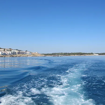 Teranyina * L' Escala